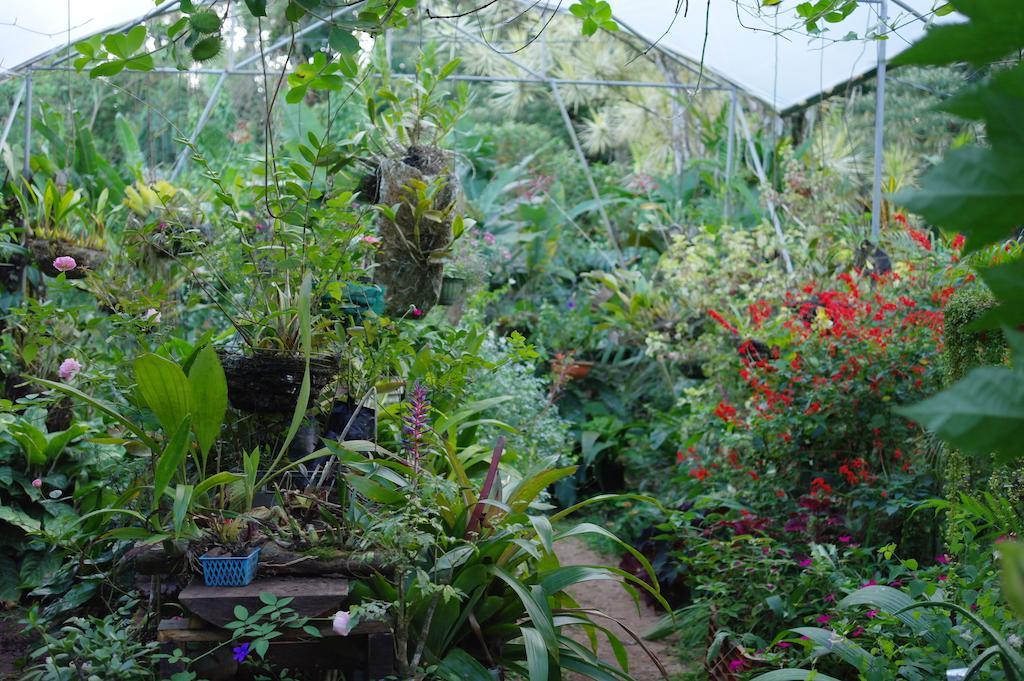 ביחגואה Finca Verde Lodge מראה חיצוני תמונה