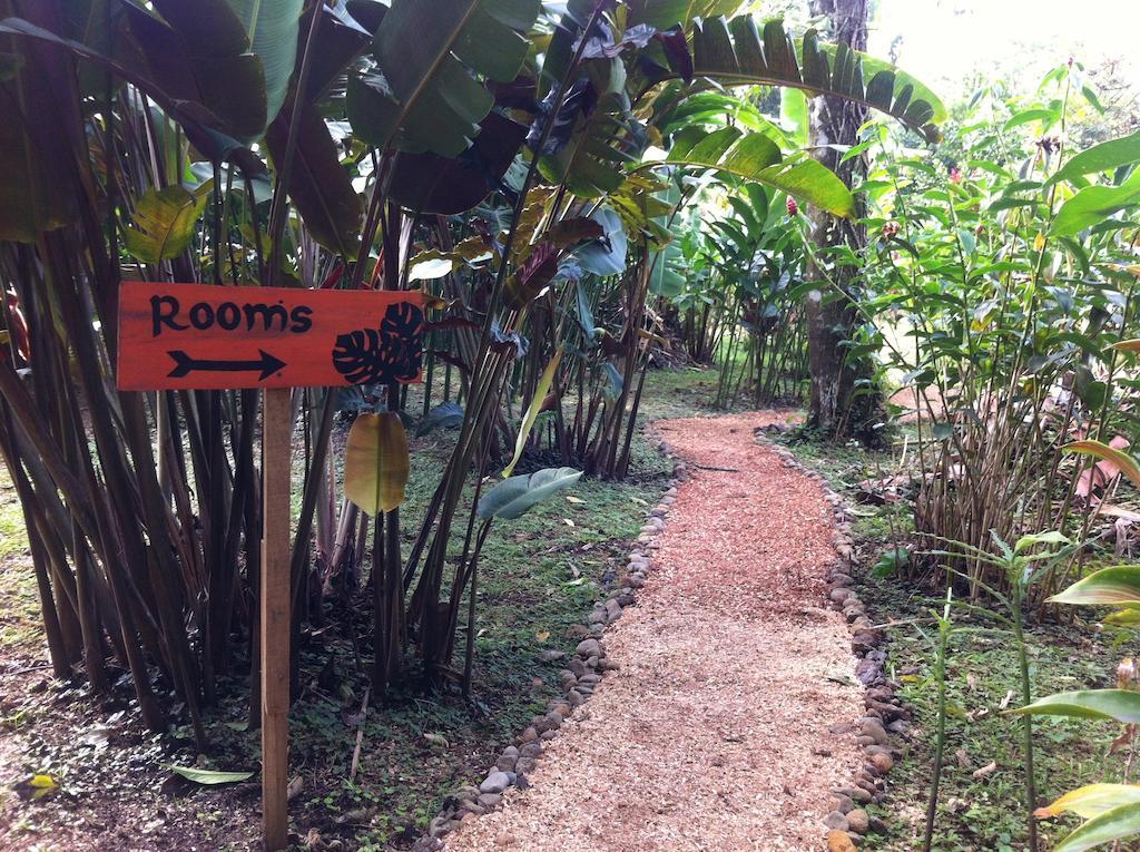 ביחגואה Finca Verde Lodge מראה חיצוני תמונה