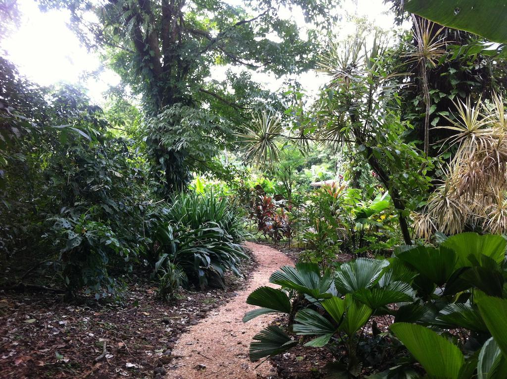 ביחגואה Finca Verde Lodge מראה חיצוני תמונה
