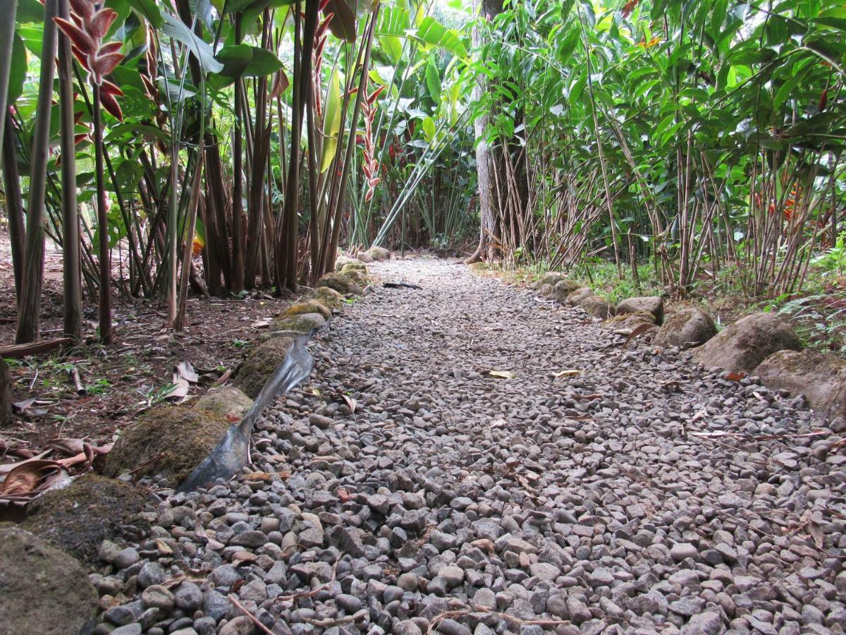 ביחגואה Finca Verde Lodge מראה חיצוני תמונה
