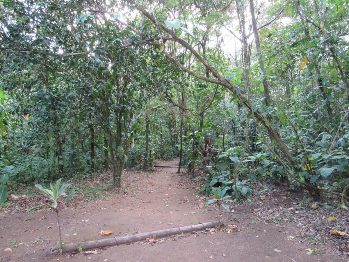 ביחגואה Finca Verde Lodge מראה חיצוני תמונה